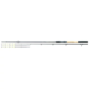 Barbel River Feeder 300XXH 80-200g
