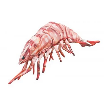 PILLOW THE TIGER PRAWN 65CM