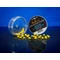 Bait Bait Method Dumbel Rodin 10mm