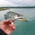 Kép 3/3 - Reiva Ultra Strong Jig Head 6/0-24g  3db/cs