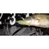 Kép 2/3 - Zander Power Shad 10cm 4db/cs (Poison Green)