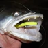 Kép 3/3 - Flash Shad 10cm 4db/cs (Poppy Green)